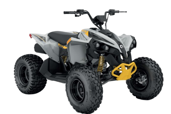 Can-Am RENEGADE 110 EFI