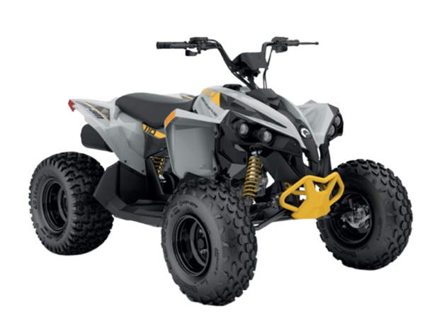 Can-Am RENEGADE 110 EFI